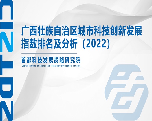 日本人添屄【成果发布】广西壮族自治区城市科技创新发展指数排名及分析（2022）